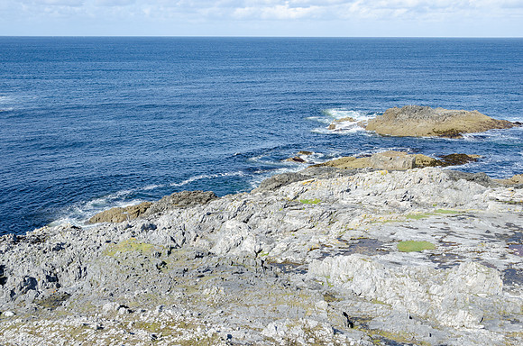 DSC_6935