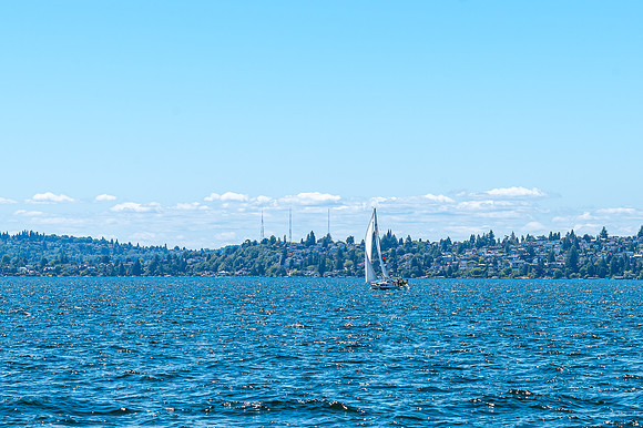 DSC_8432
