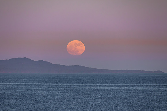 DSC_6691-Enhanced-NR