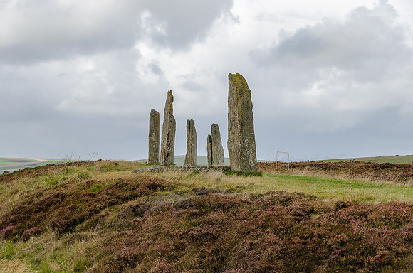DSC_7386