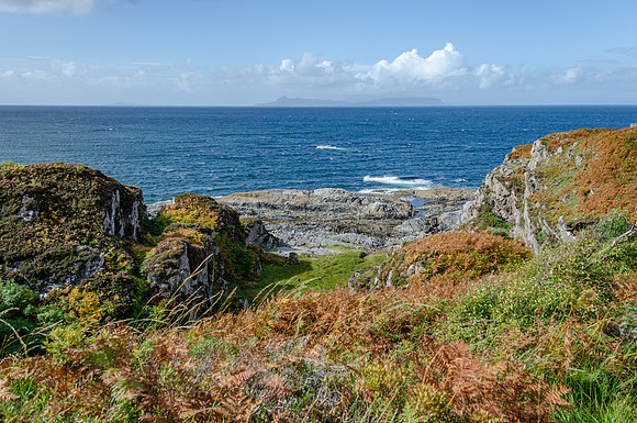 DSC_6297