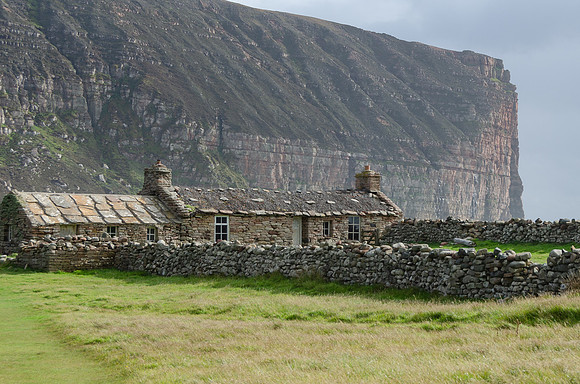 DSC_7203