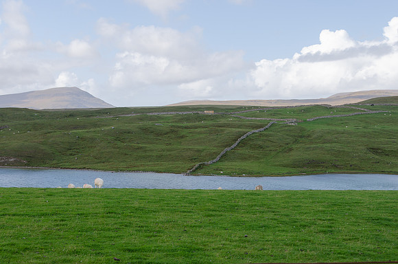 DSC_6776