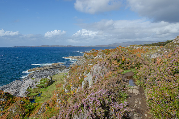 DSC_6335
