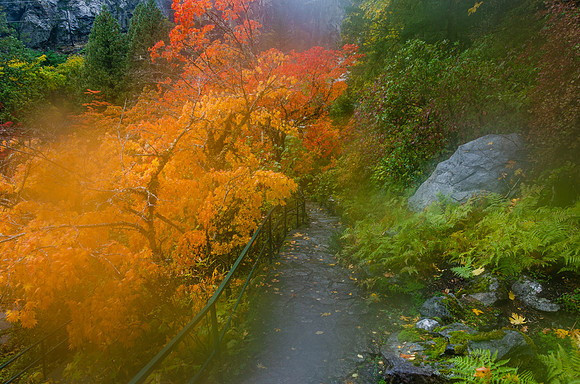 Gorge Powerhouse Ladder Falls Trail Newhalem