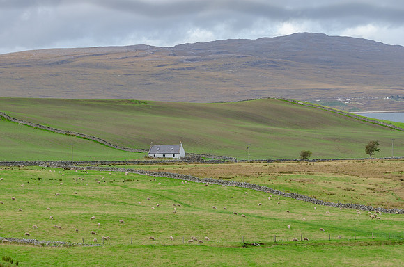DSC_7034