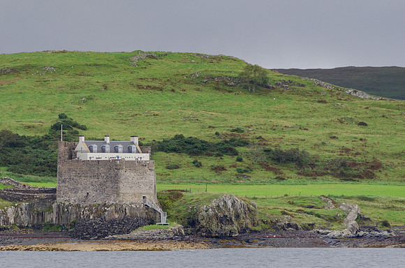 DSC_6208