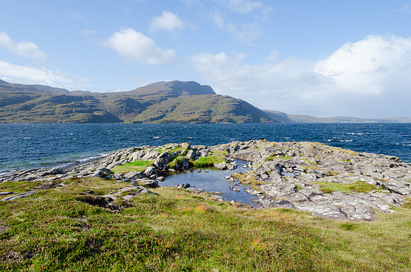 DSC_6530