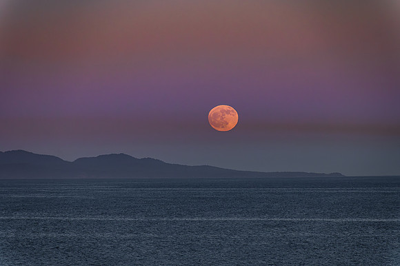 DSC_6700-Enhanced-NR