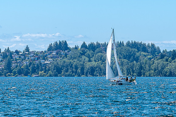 DSC_8428