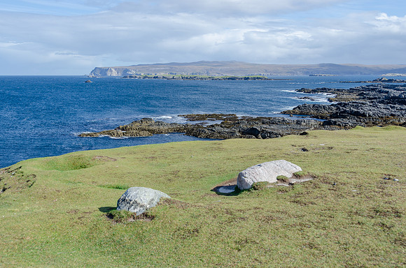 DSC_6939