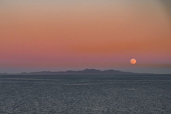 DSC_6701-Enhanced-NR