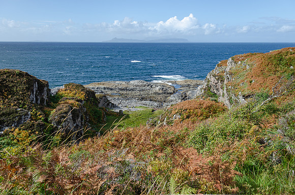 DSC_6298