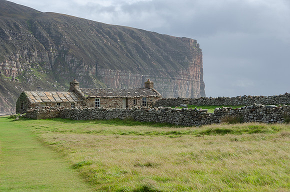 DSC_7202