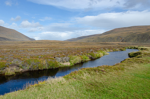 DSC_7201