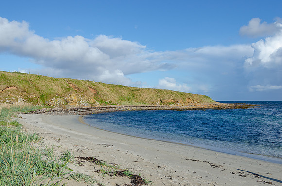 DSC_7422