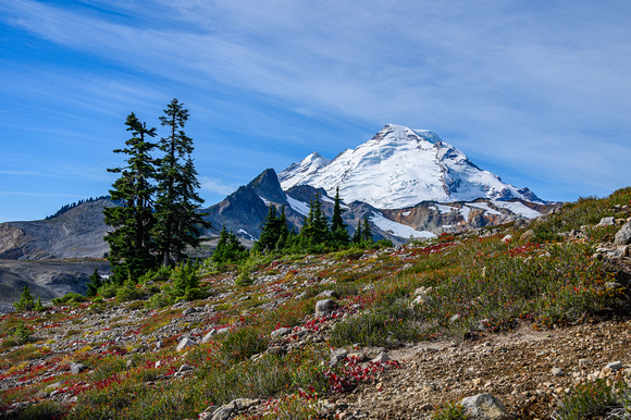 Mt Baker 2