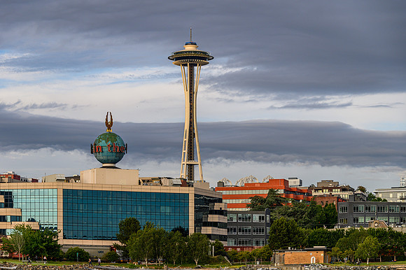 DSC_7571