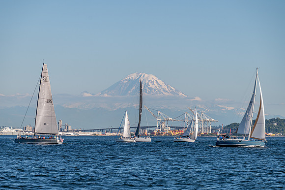 DSC_9113