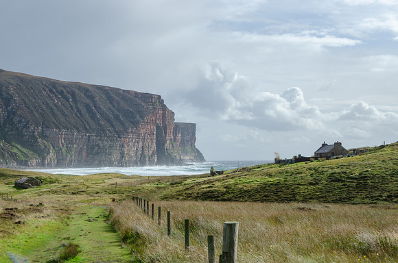 DSC_7186