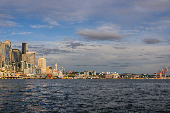 DSC_7614