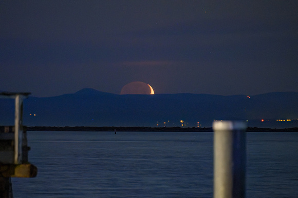 DSC_6348-Edit