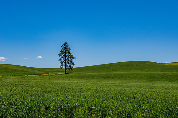 DSC_5635