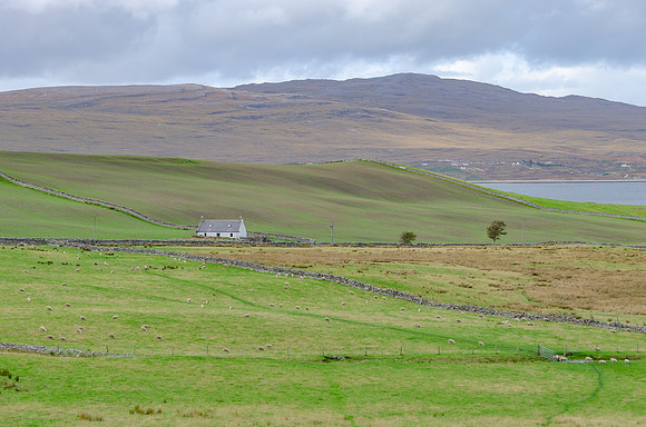DSC_7042