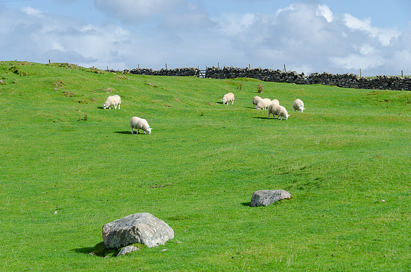 DSC_6767