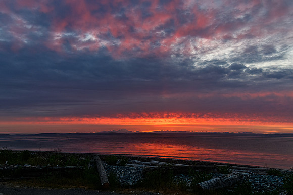 DSC_4878-Edit