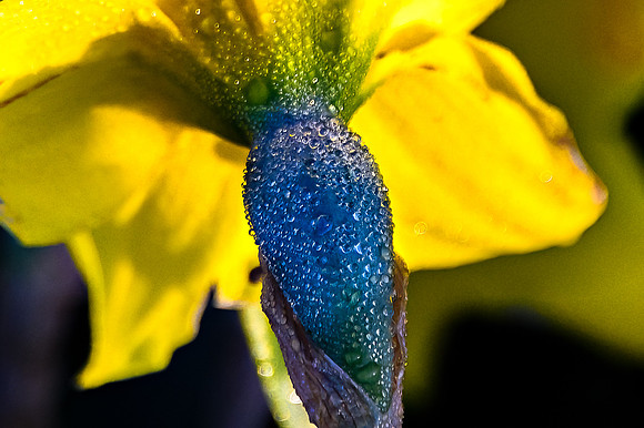 DSC_9885-Edit