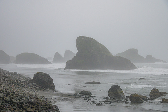 DSC_1717