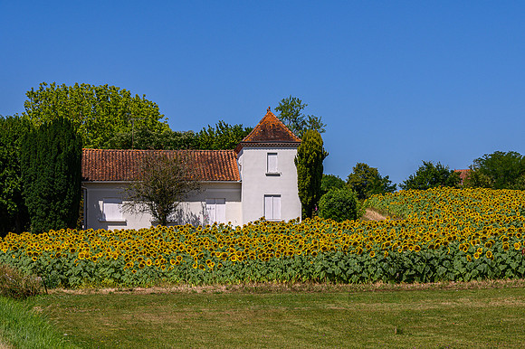 DSC_9181