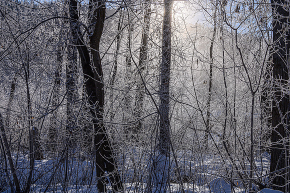 Foggy Light Leavenworth