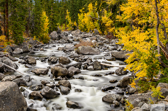 Icicle Creek