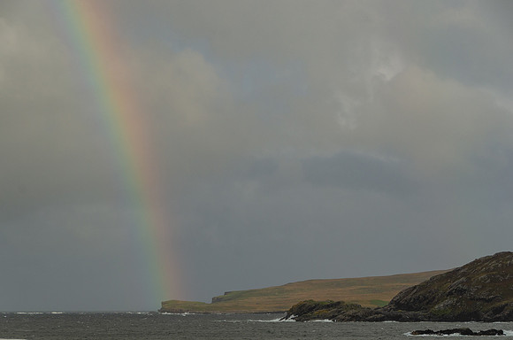 DSC_6699