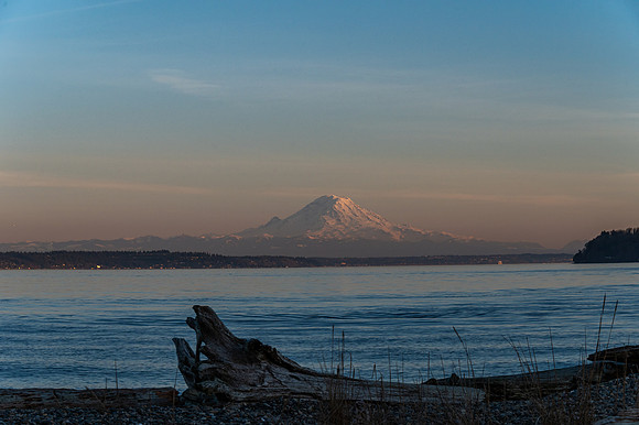DSC_8238