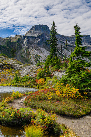 Heather Meadows 2