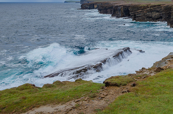 DSC_7294