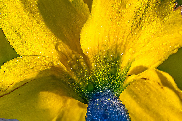 DSC_9882-Edit