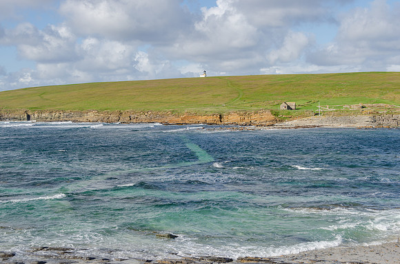 DSC_7352