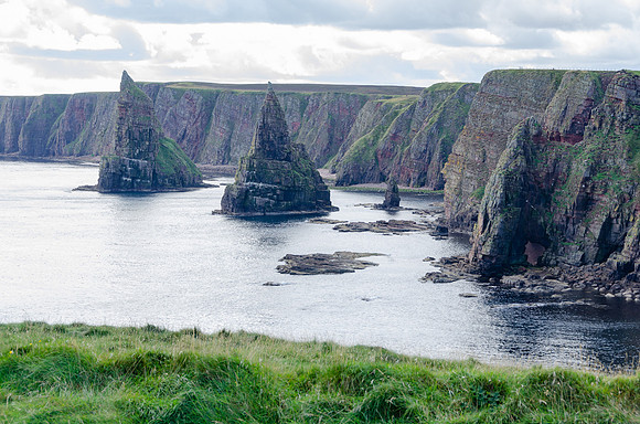 DSC_7528