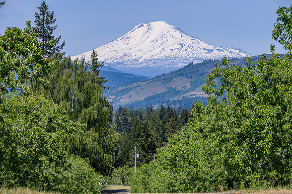 Mt. Adams 2