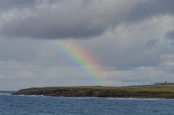 DSC_7334
