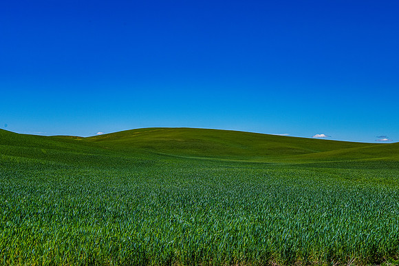 DSC_5719