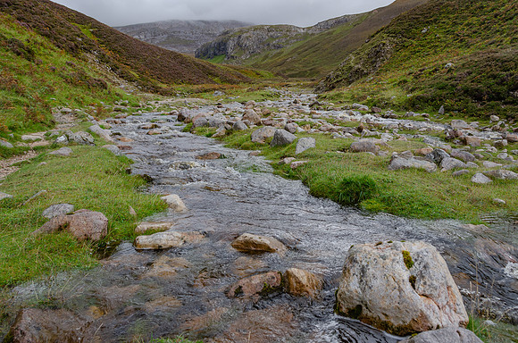 DSC_6612
