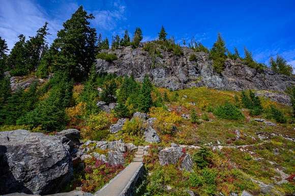 Heather Meadows 3