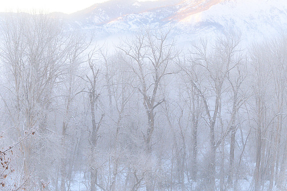 Fog and Snow in Leavenworth 1