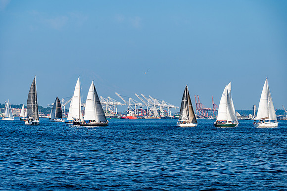DSC_9499
