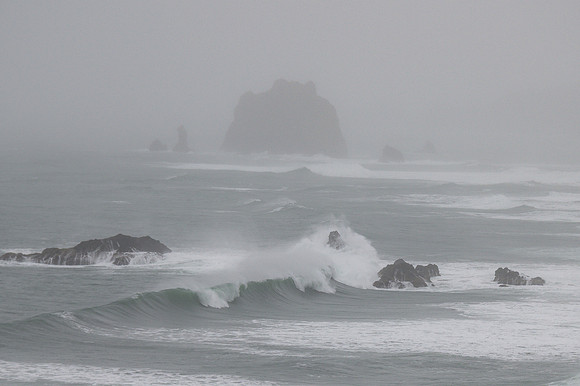 Oregon Coast in the Fog